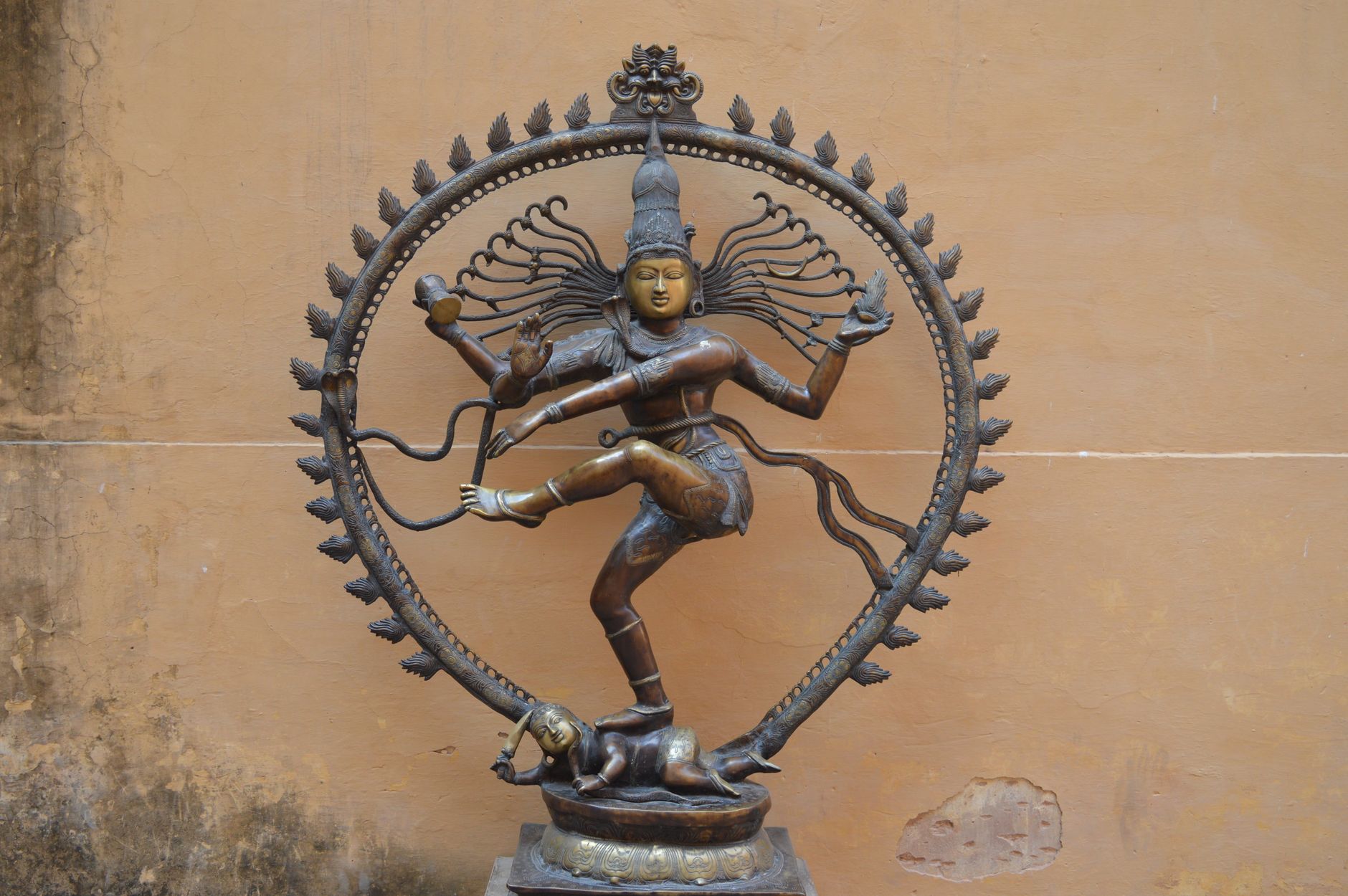 Ardra Darshan