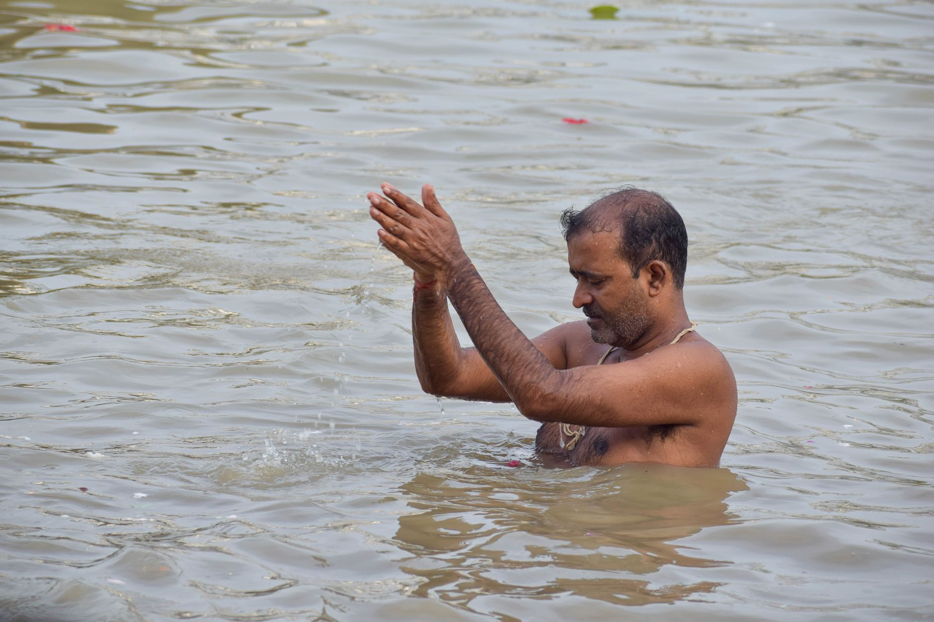 Pausha Purnima